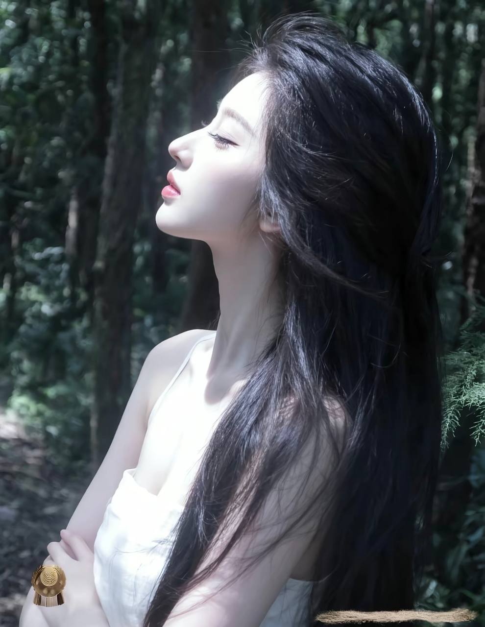 潮汐胶片·终章